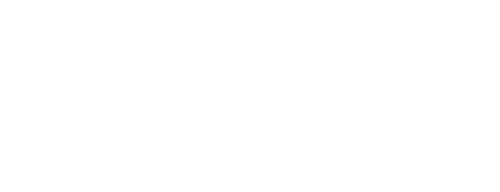 Finisswim